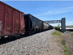CSXT 299133